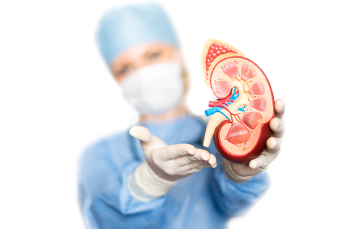 Počet pacientov s ochorením obličiek mierne klesol. Stúpli ich transplantácie
