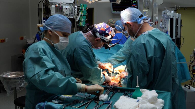 Transplantovali päť orgánov naraz. Českí lekári majú za sebou svetový unikát