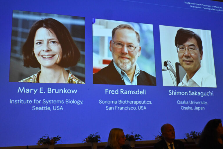 Nobelovu cenu za medicínu získali objavy, ktoré pomohli vývoju novej liečby rakoviny a autoimunitných ochorení