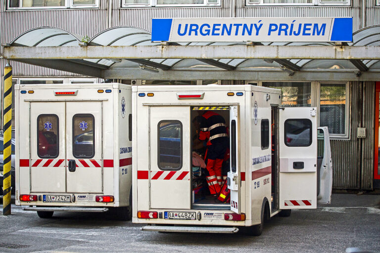 Kliešť na chrbte, či žiadosť o vyčistenie protézy. Zdravotníci na Štedrý deň ošetrili stovky pacientov