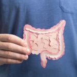 Podobné názvy, odlišné úlohy: Prebiotikum a probiotikum