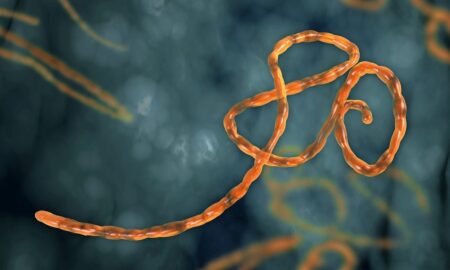 Ministri zdravotníctva EÚ budú v piatok rokovať o epidémii eboly v Afrike