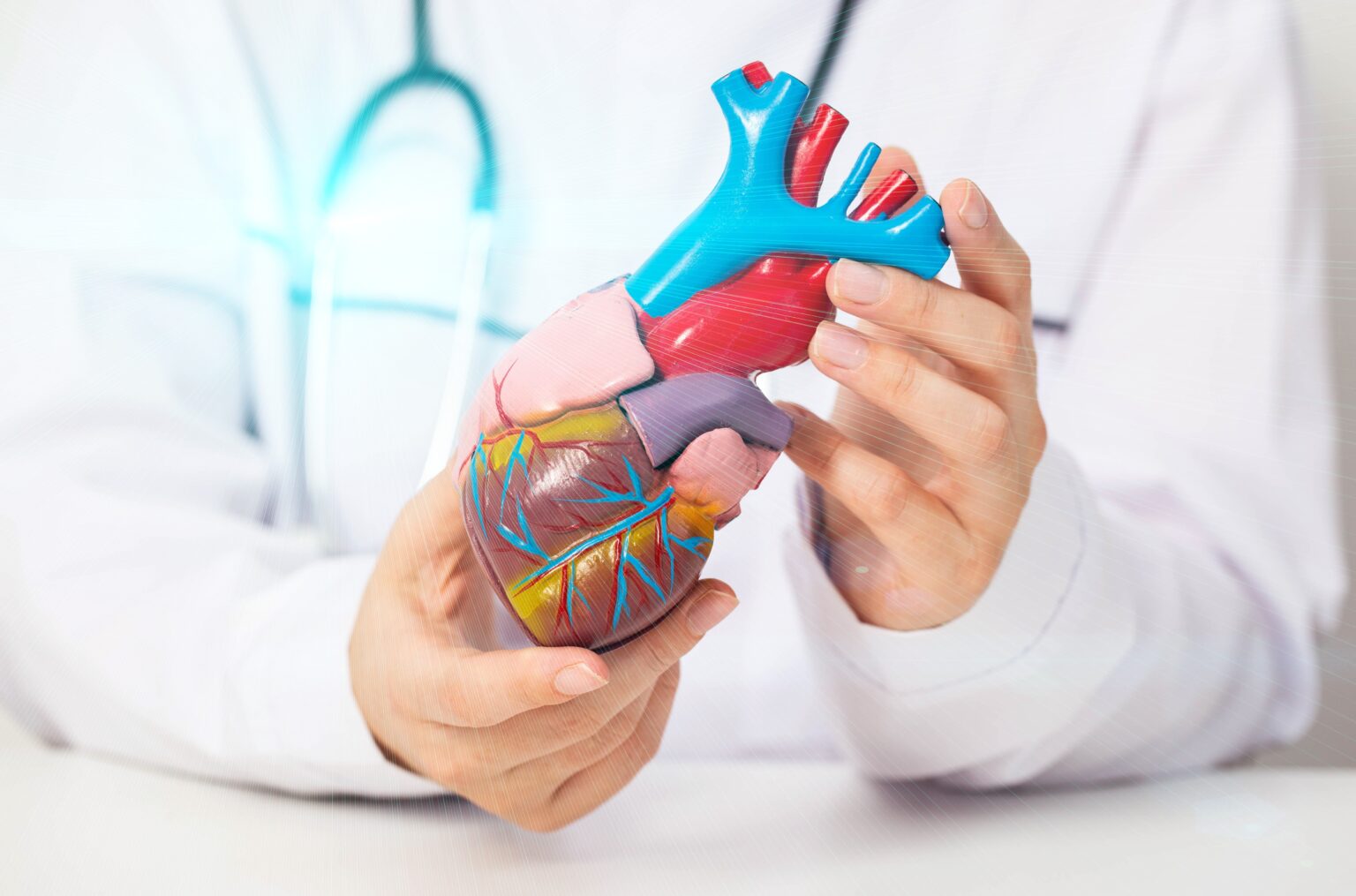 SLS uviedla do Dvorany slávy SLS šesť výnimočných osobností slovenskej medicíny