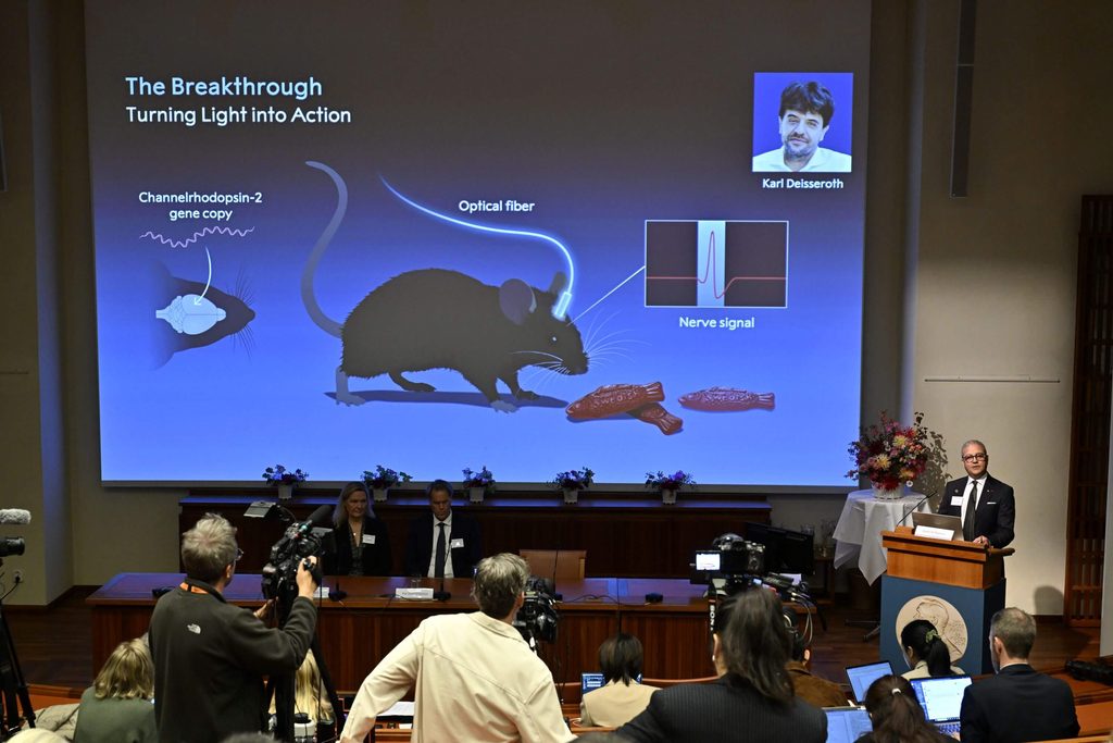 Prednáška v sále: na plátne svieti modrý slide „The Breakthrough – Turning Light into Action“ s ilustráciou myši, grafom a portrétom, pri rečníckom pulte stojí muž.