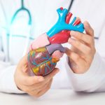 Srdcovocievne ochorenia zabíjajú Slovákov. Čo robíme zle v prevencii?